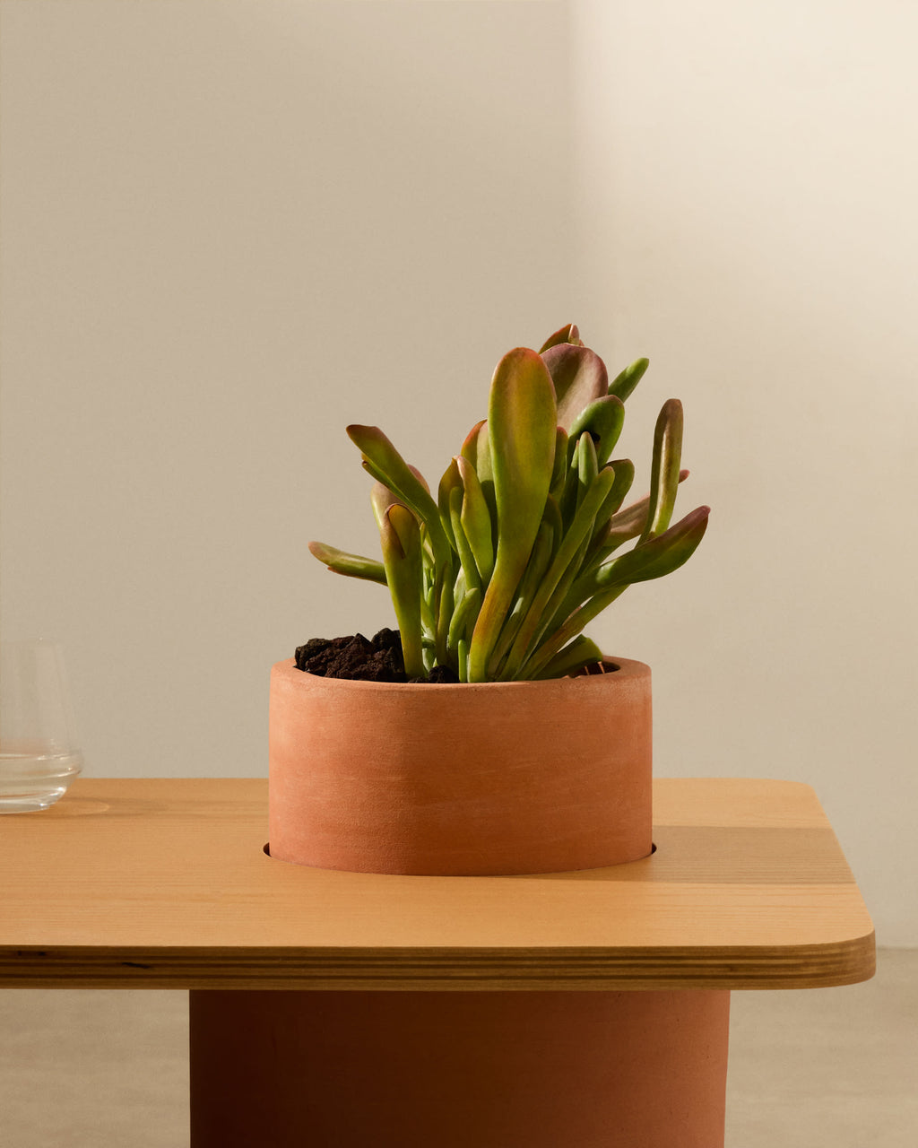 Tavine Table Basse en Bois d’Acacia et Acier Ø 49 cm