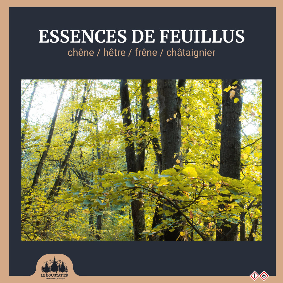 Bois de Chauffage Extra Sec 50 cm 2,5 Stères
