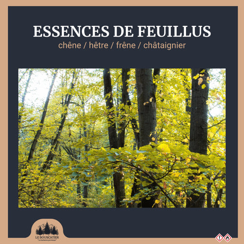 Bois de Chauffage Extra Sec 50 cm 2,5 Stères