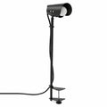 Lampe de Bureau avec Pince en Métal